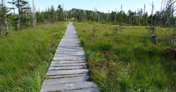 Ridge path to Holubník