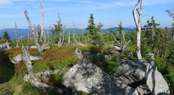 Landscape in the upland plain