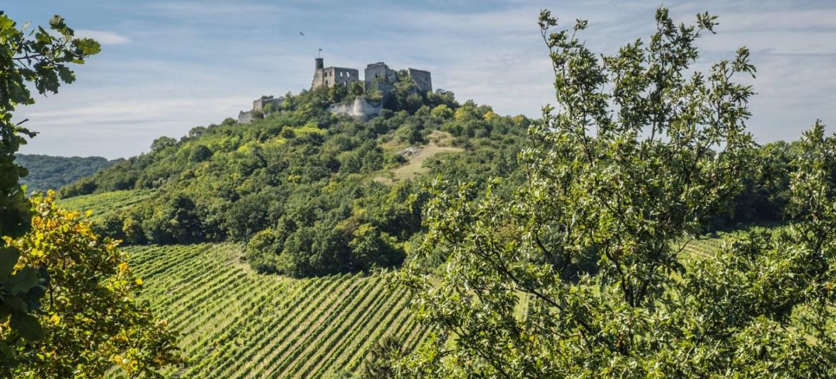 Falkenstein