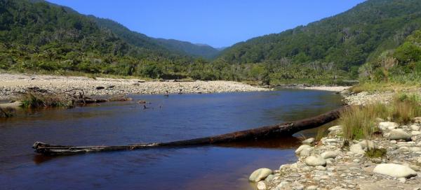 Kohaihai River