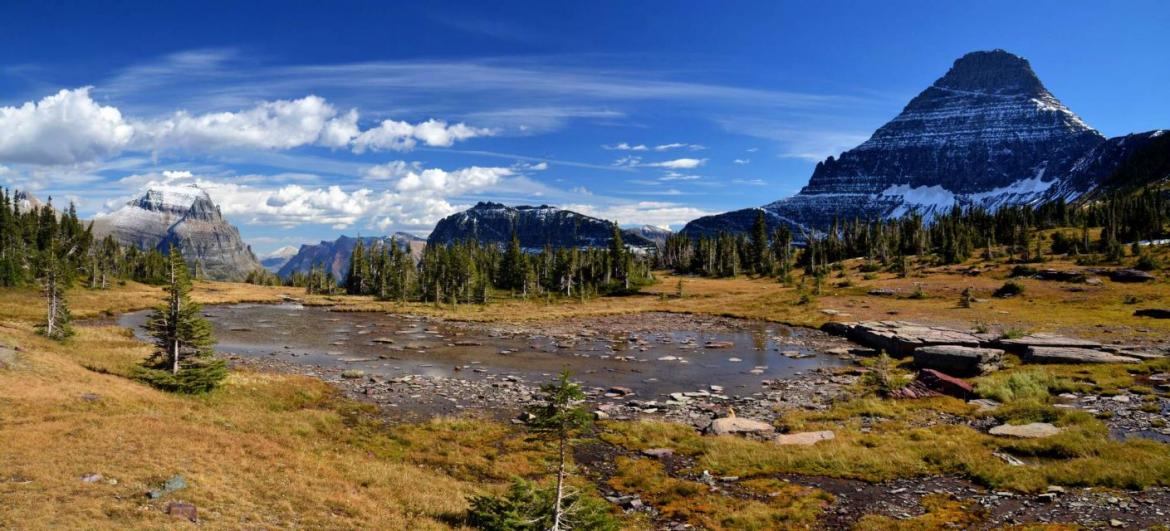Montana