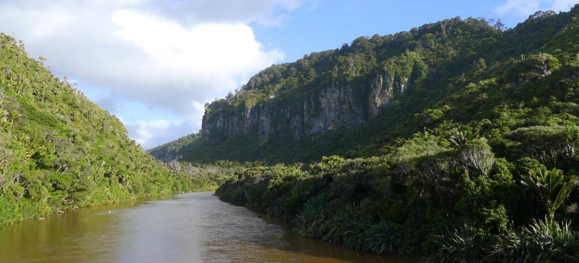 Paparoa