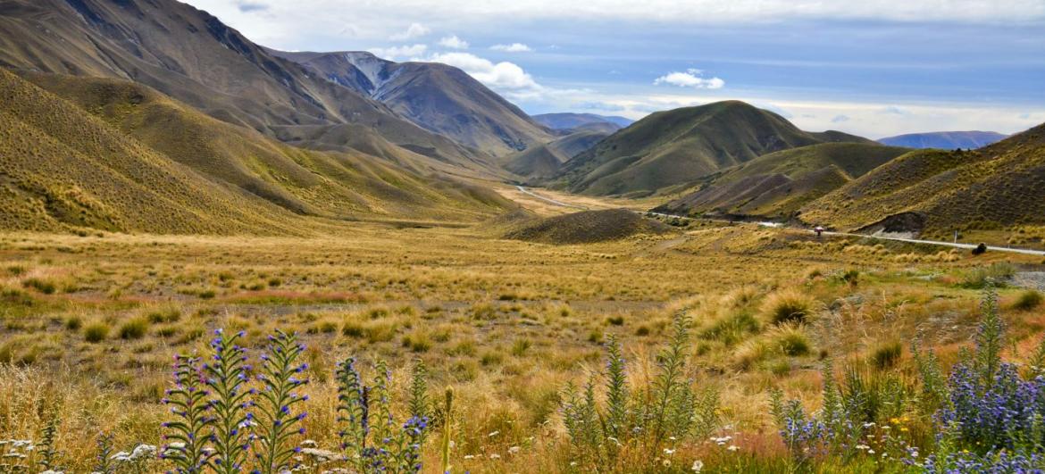 Lindis Pass: Počasí a sezóna