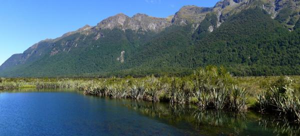 Mirror Lakes