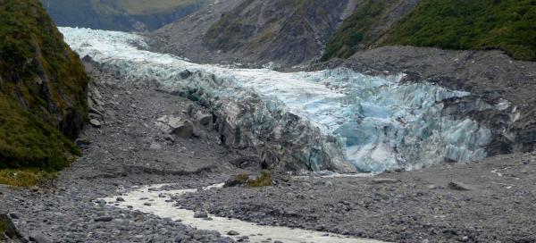 Ledovec Fox Glacier
