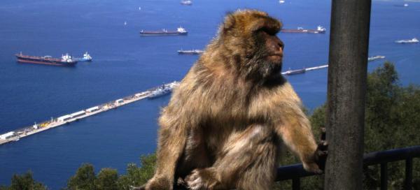 Výlet na Gibraltar