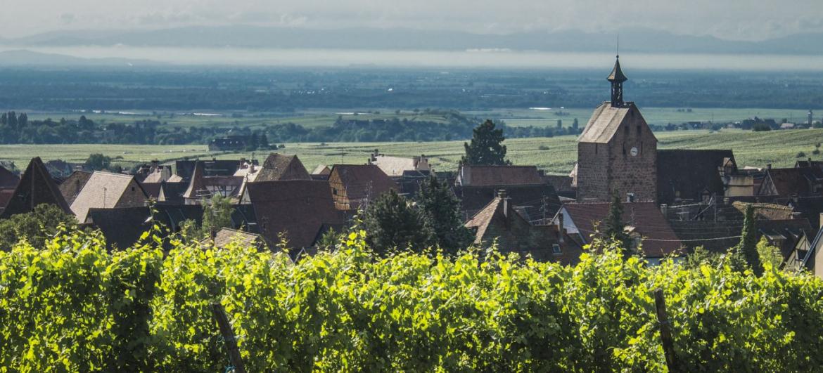 Prohlídka Riquewihr