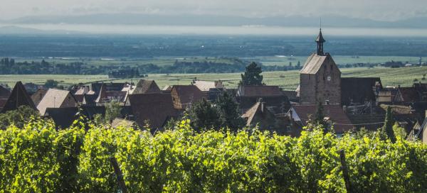 Prohlídka Riquewihr