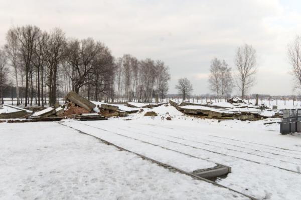Plynová komora