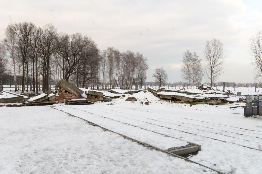 Plynová komora