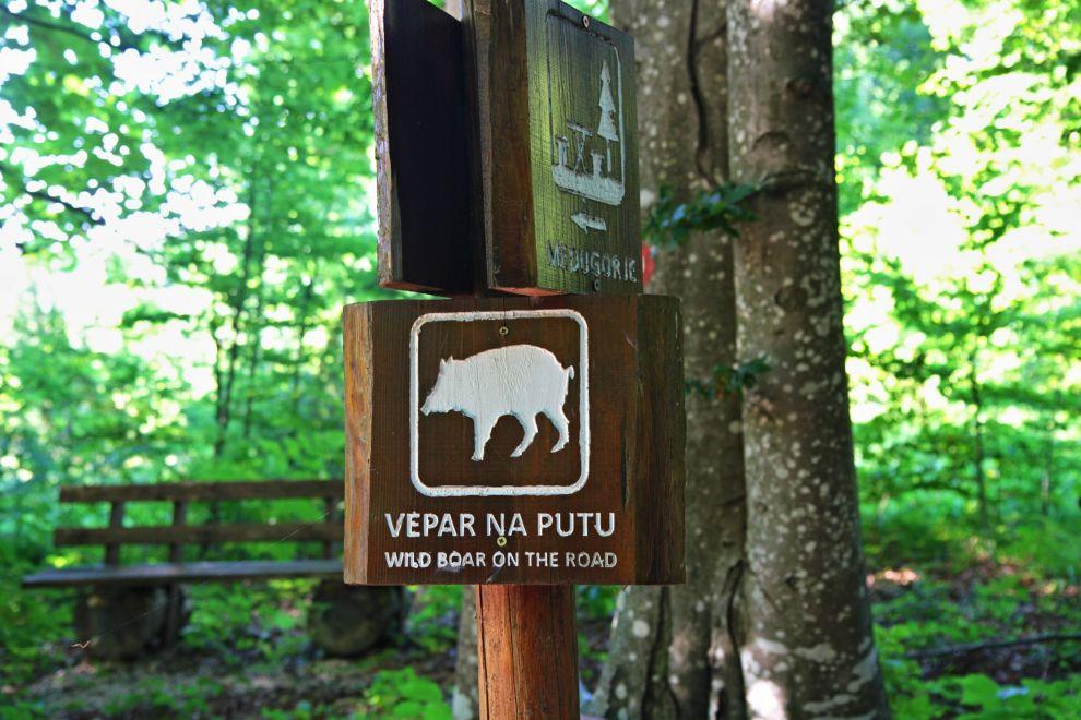 Vepar na putu