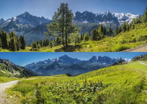 Panorama