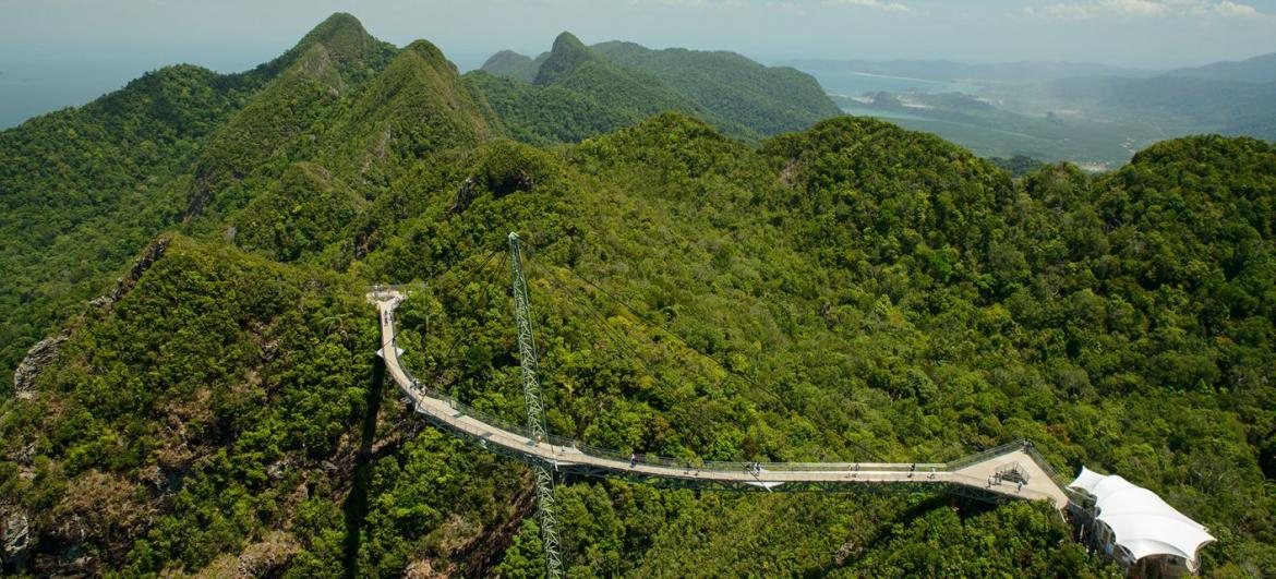 Vyhlídka Sky Bridge
