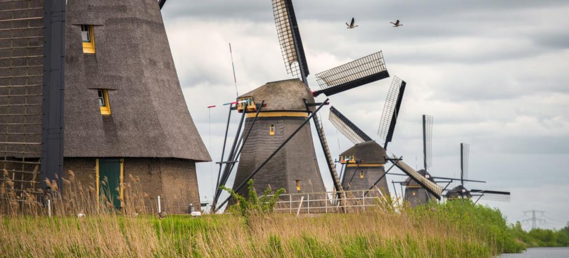 Kinderdijk