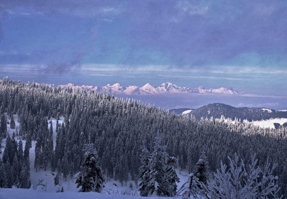 Konečně Tatry