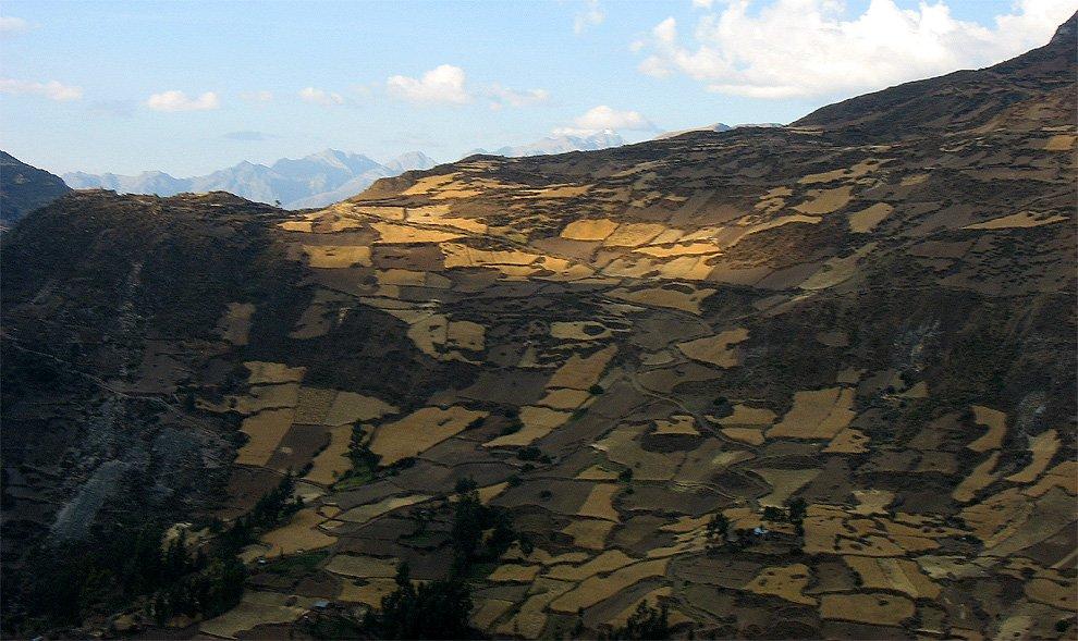 Úrodné svahy
