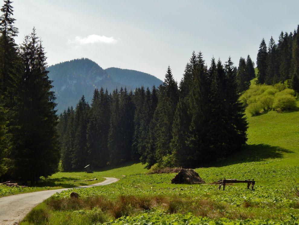 od parkoviště