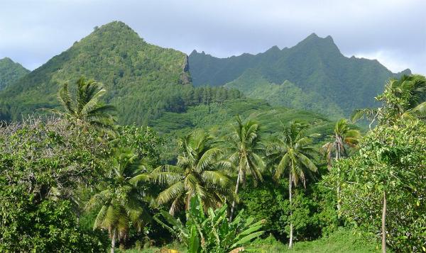 The mountainous interior