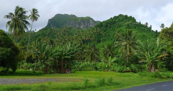 Close behind Avarua