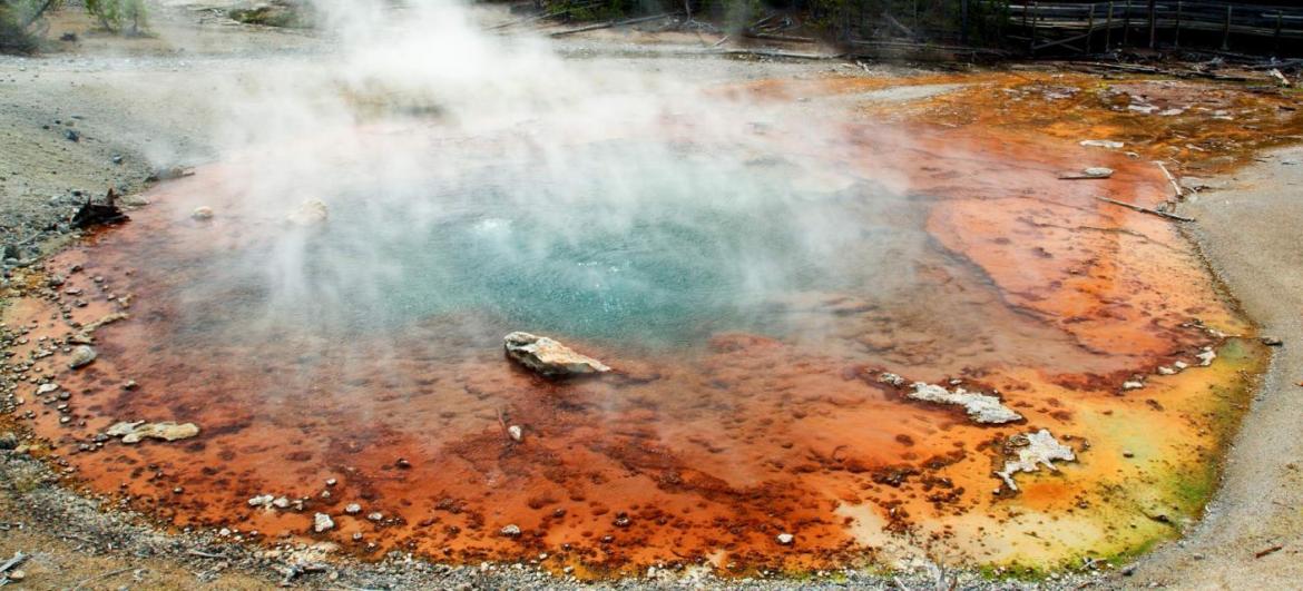 Norris Geyser Basin