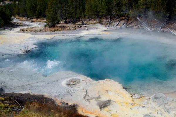 Emerald Spring