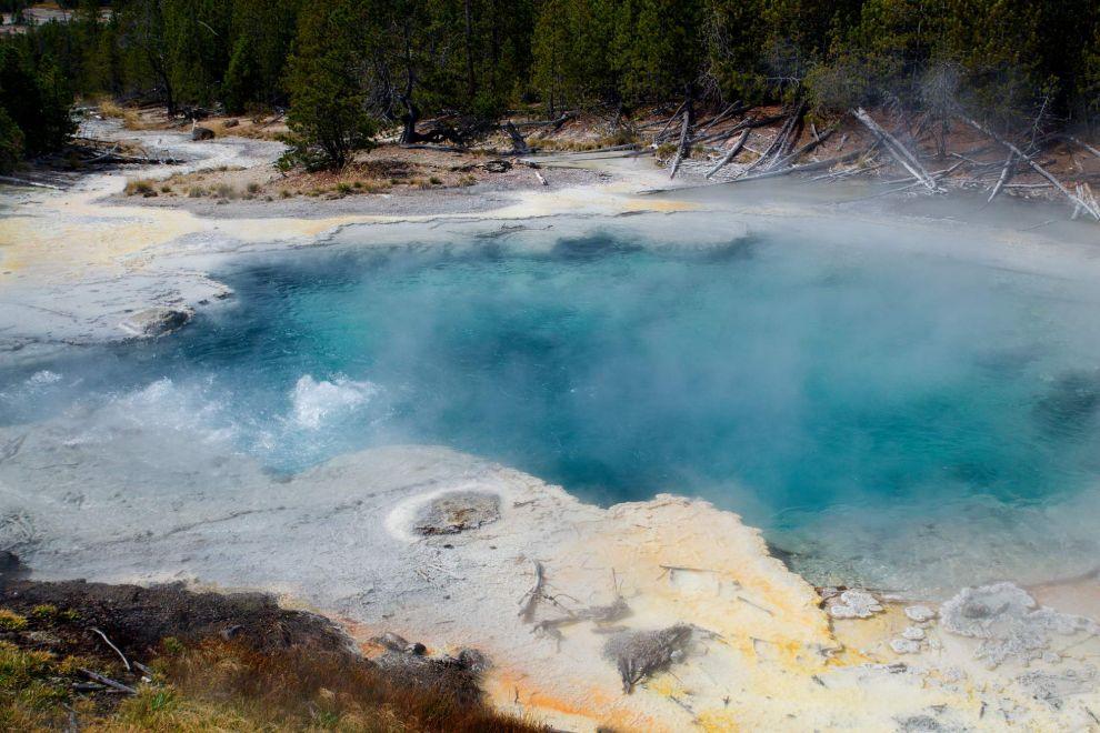 Emerald Spring
