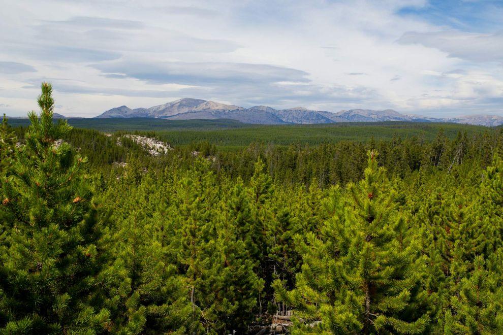 Pohled na Yellowstone
