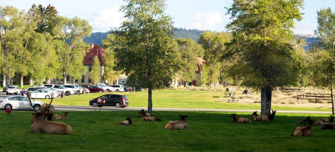 Mammoth Hot Springs - Návštěvnické centrum