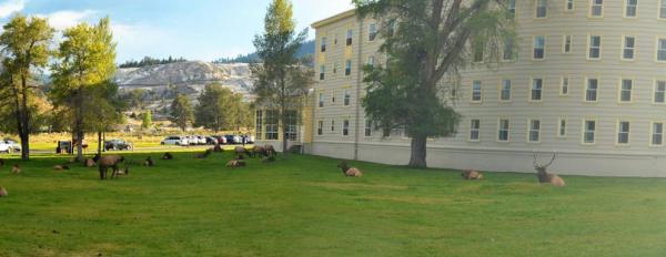 U Hotelu