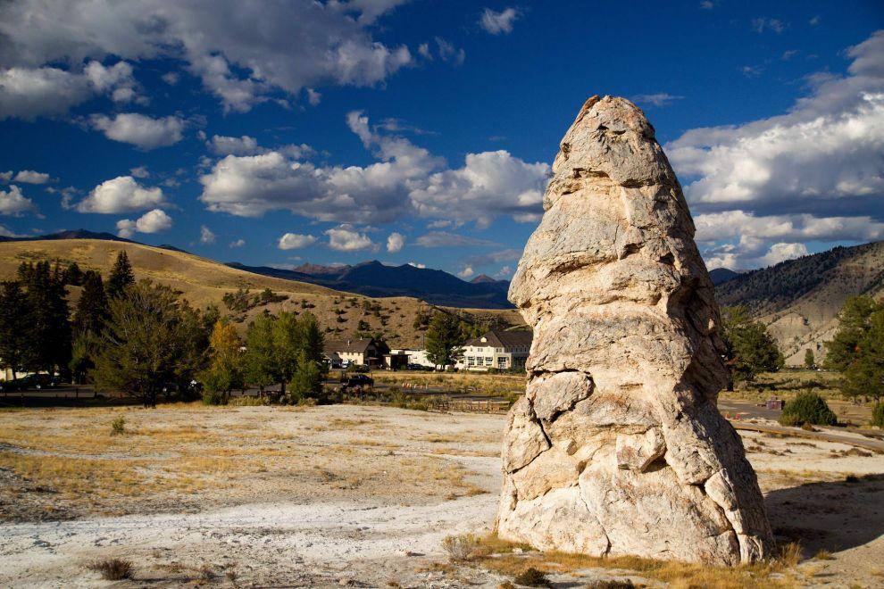 Liberty Cap