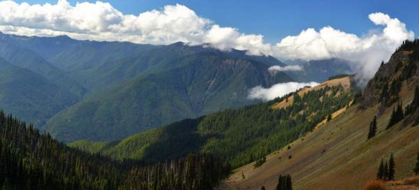 Hurricane Ridge