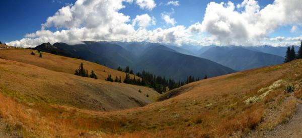 Hurricane Ridge