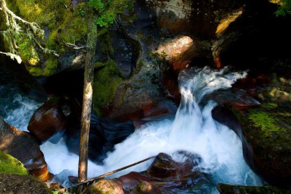 Avalanche Creek
