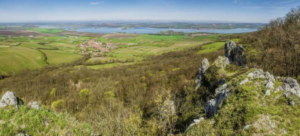 Pavlovské vrchy