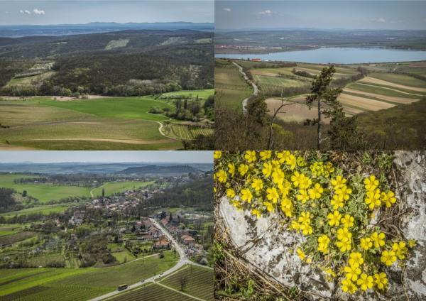 Výhledy