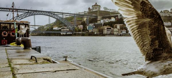 Porto a portská vína