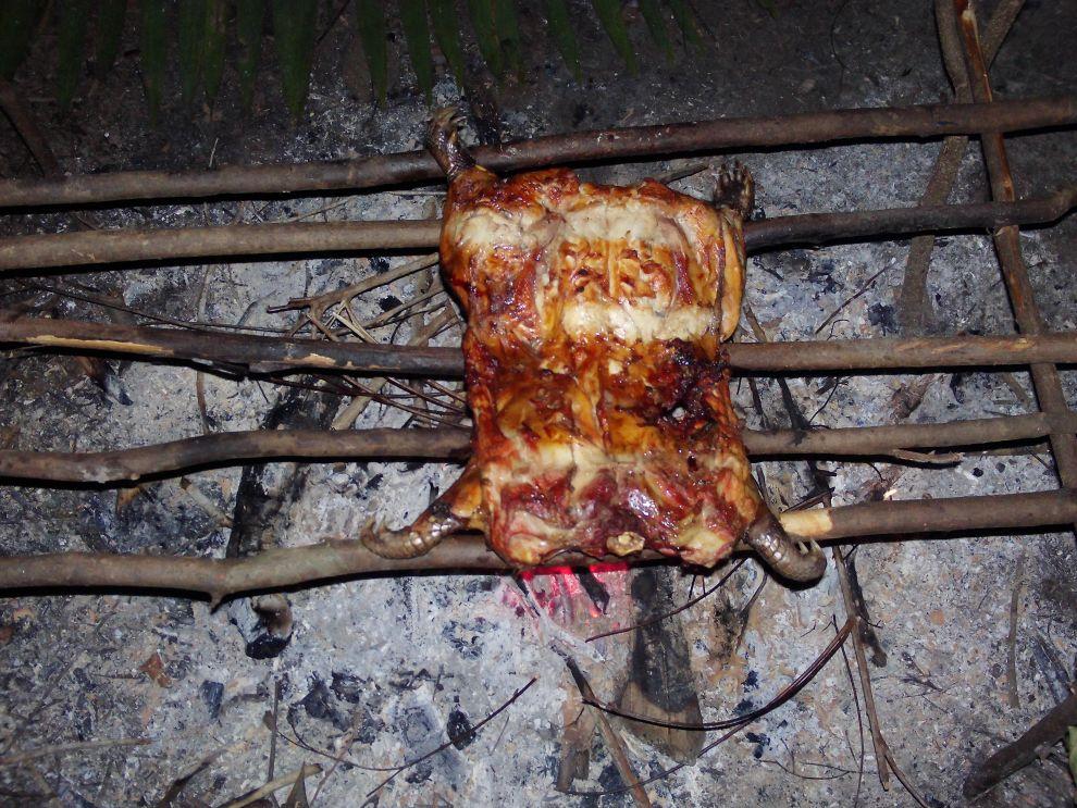 Ulovený pásovec