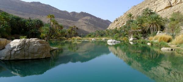 Koupání ve Wadi Bani Khalid