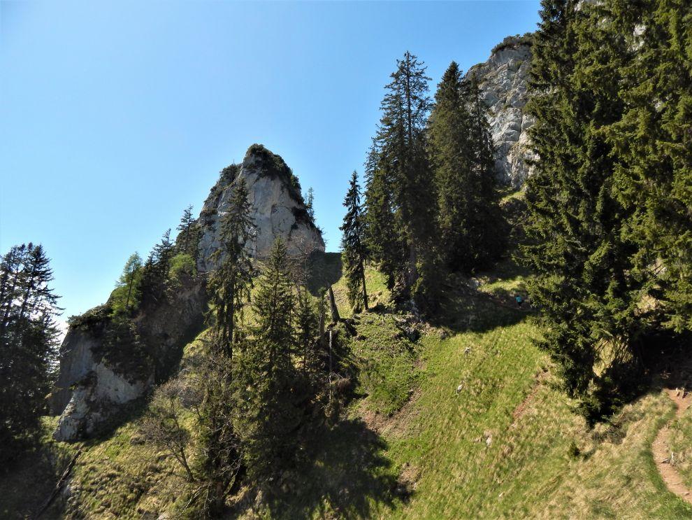 sedlo