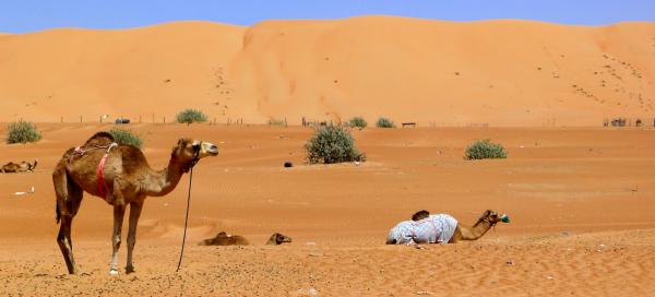 Wahiba Sands Desert