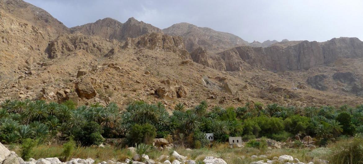 Wadi Tiwi