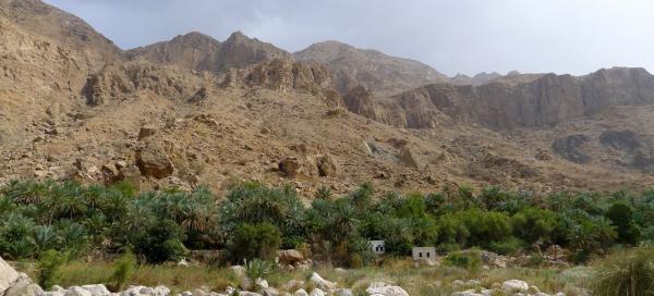 Wadi Tiwi