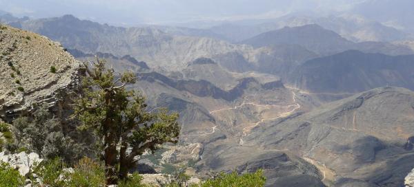 Sharaf al Alamayn pass