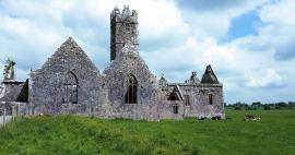 Ross Errilly Friary