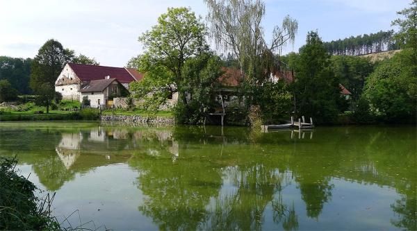 Ledeč