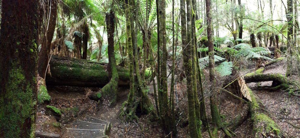 Mount Hartz NP