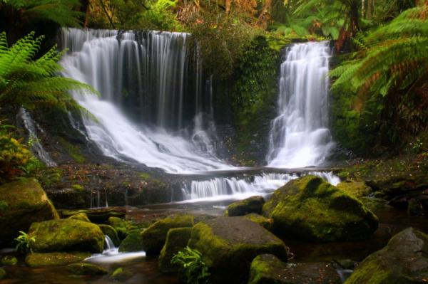 Mount Field NP - Horse Shoe Falls