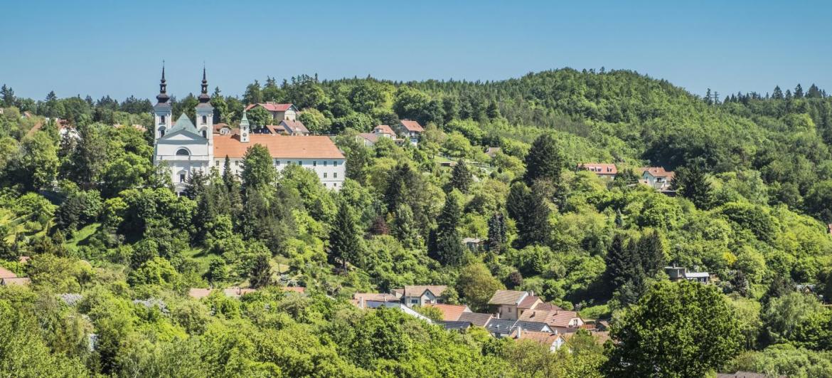 Vranov u Brna