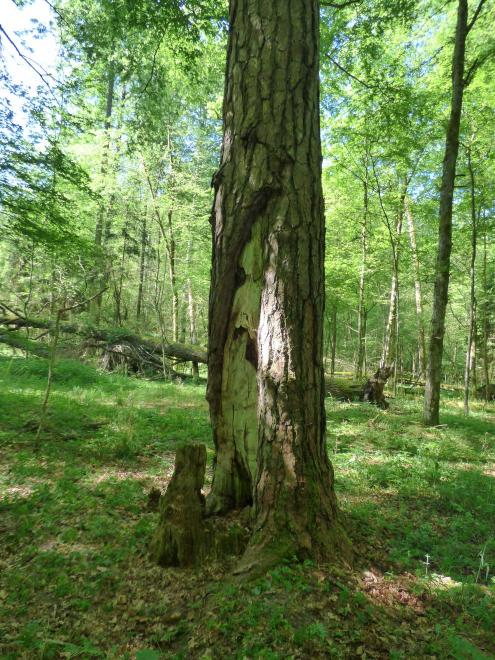 Lidský faktor