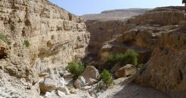 Procházka soutěskou Wadi Bani Khalid